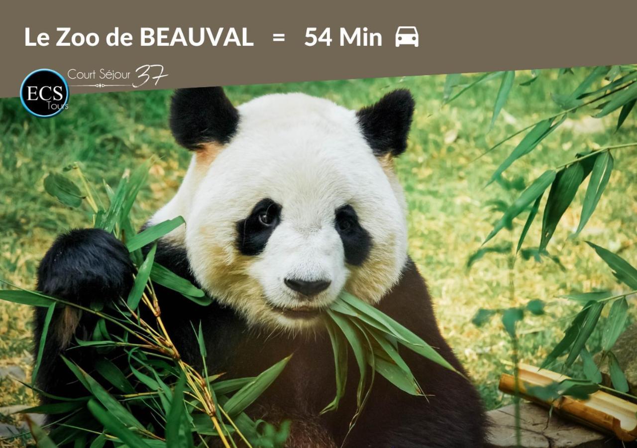 "Cozy Zen" 1 Grande Chambre - Calme - Arrivee Autonome - 6 Pers - Parking Gratuit Tours Luaran gambar